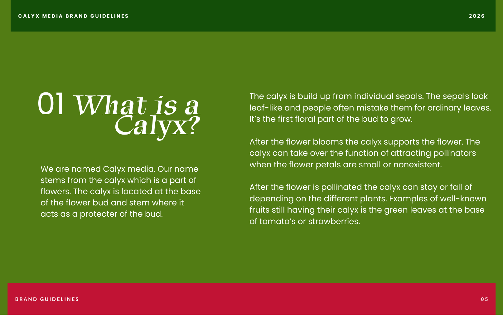 Brand guide semester 4 pagina 5